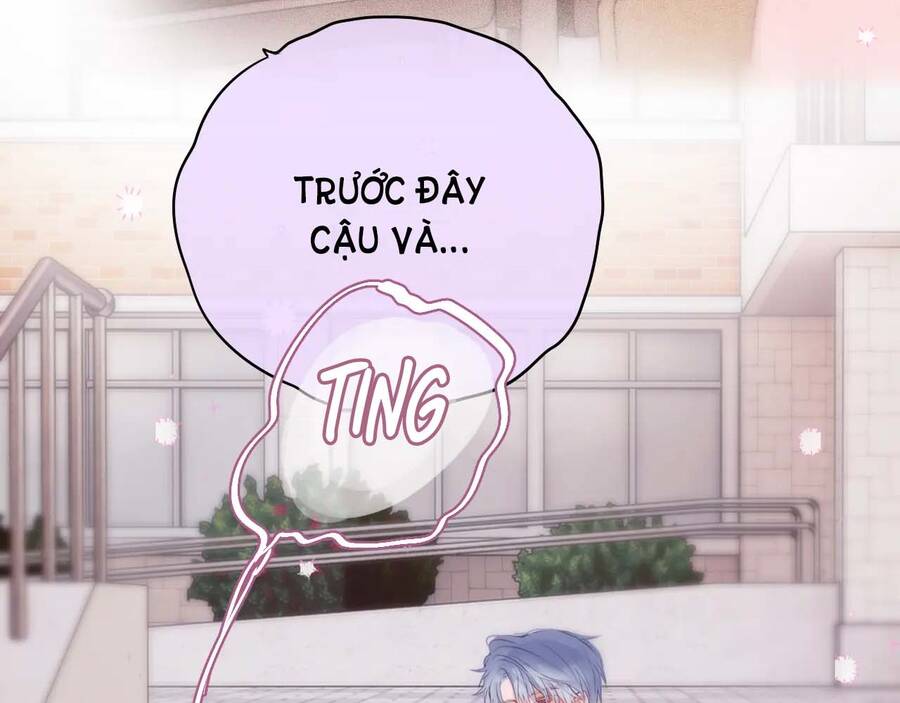 Cạm Bẫy Của Hồ Ly Chapter 47 - 15