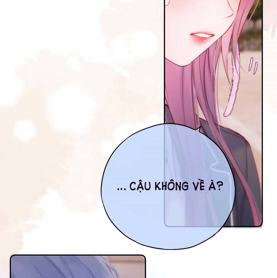 Cạm Bẫy Của Hồ Ly Chapter 47 - 27