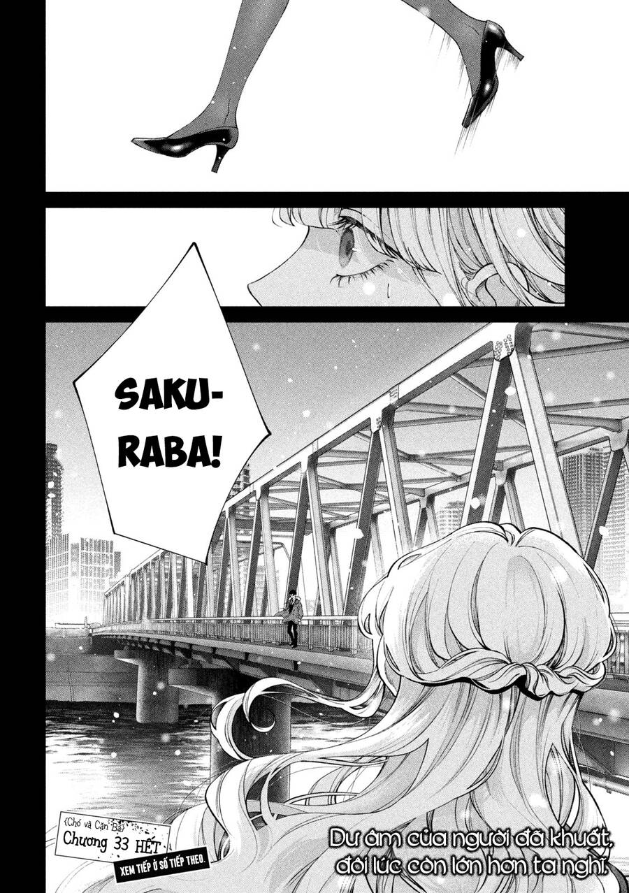 Chó Và Cặn Bã Chapter 33 - 19