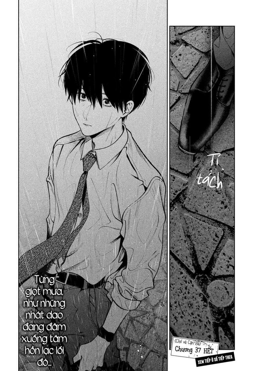 Chó Và Cặn Bã Chapter 37 - 18