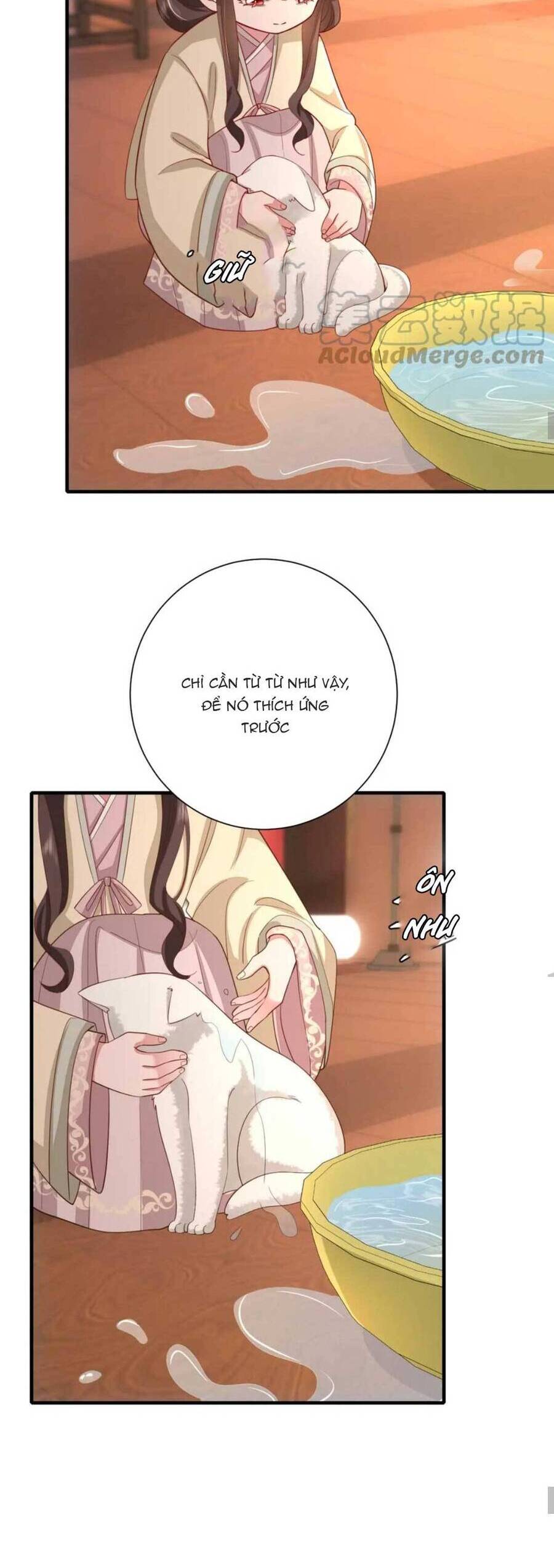 Cách Thức Sinh Tồn Của Pháo Hôi Khuê Nữ Chapter 130 - 16