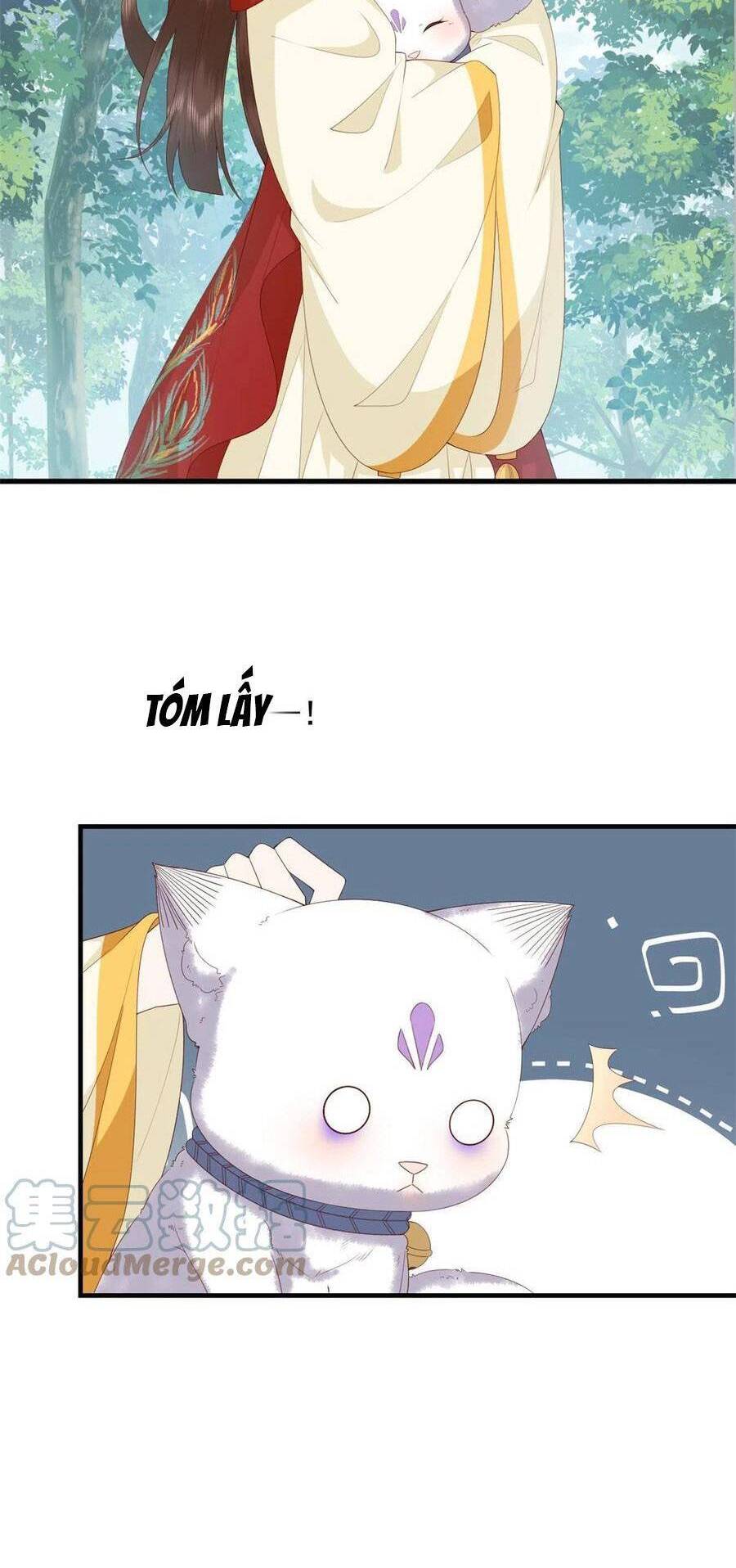 Nữ Phụ Không Thể Chọc Giận Chapter 101 - 7