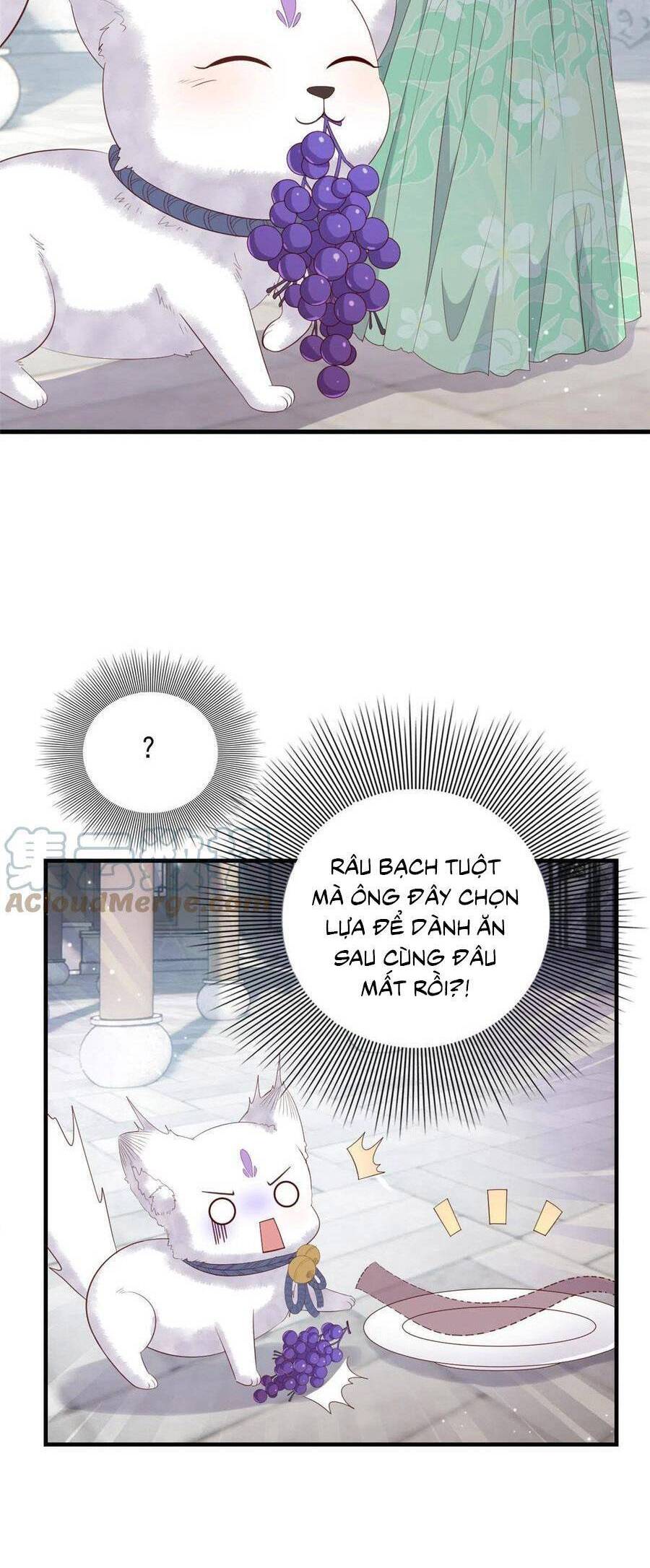 Nữ Phụ Không Thể Chọc Giận Chapter 111 - 22