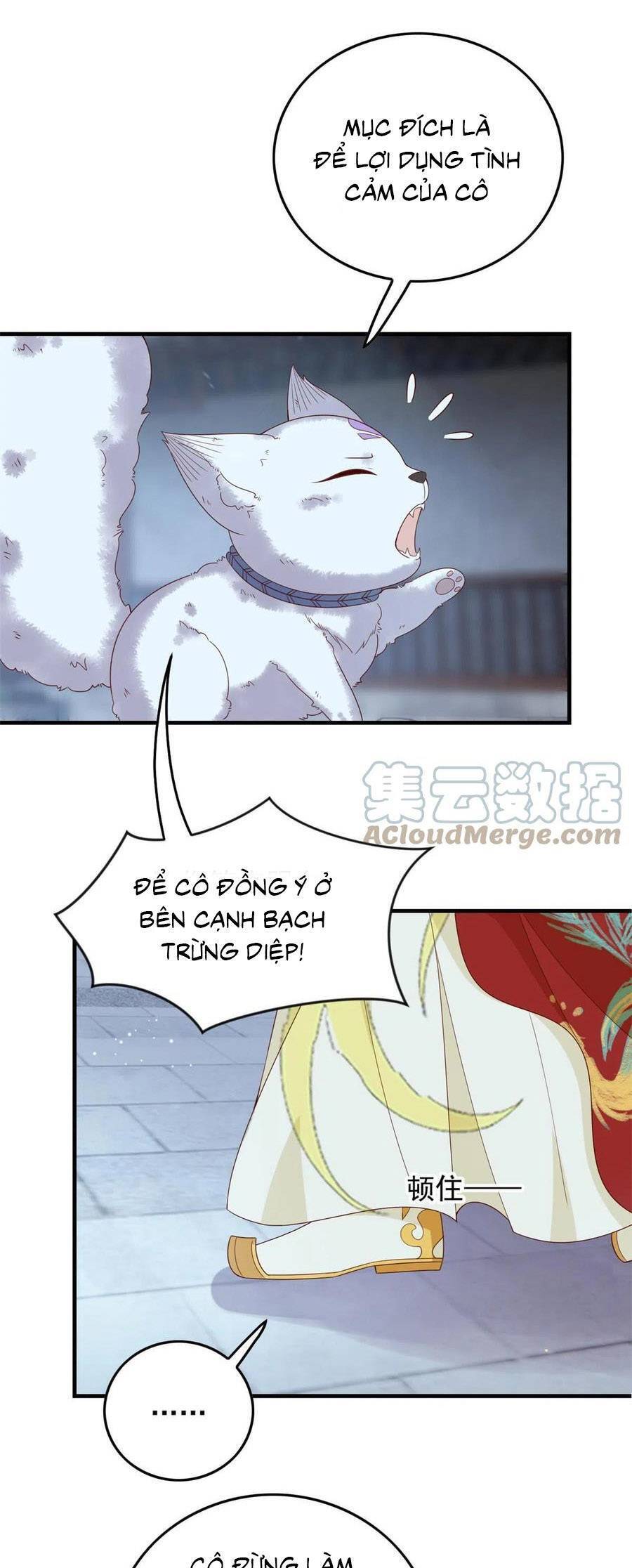 Nữ Phụ Không Thể Chọc Giận Chapter 130 - 12