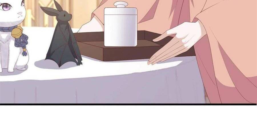 Nữ Phụ Không Thể Chọc Giận Chapter 95 - 12