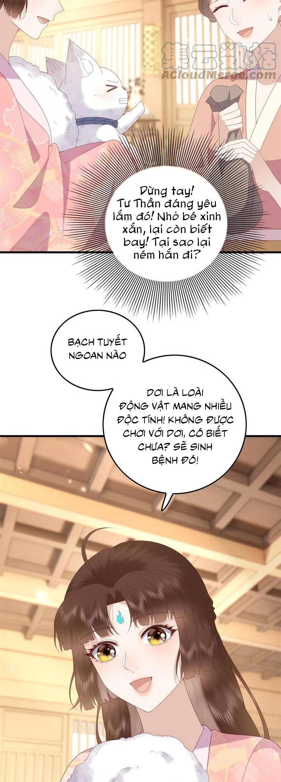 Nữ Phụ Không Thể Chọc Giận Chapter 95 - 16