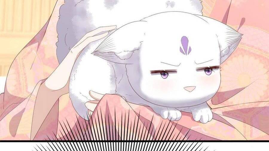 Nữ Phụ Không Thể Chọc Giận Chapter 95 - 17