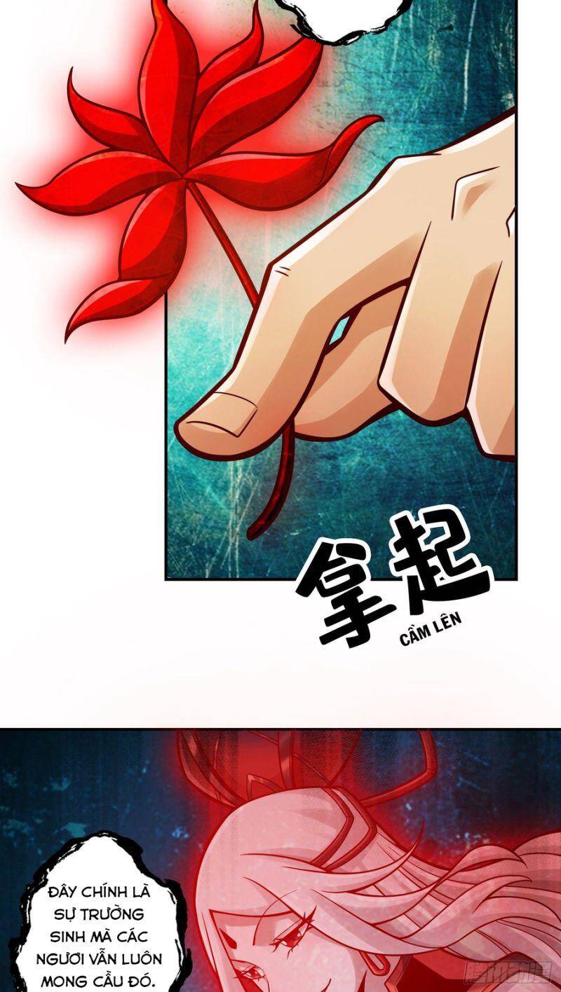 Sư Huynh Của Ta Quá Cẩn Thận Rồi Chapter 113 - 6