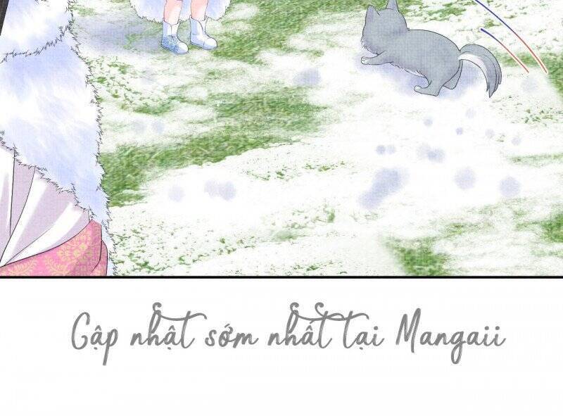 Nhóc Con Người Cá 3 Tuổi Rồi Chapter 256 - 11