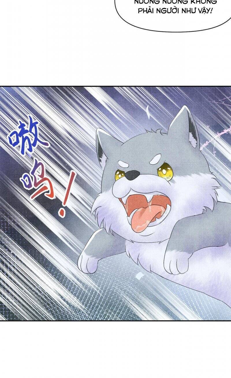 Nhóc Con Người Cá 3 Tuổi Rồi Chapter 256 - 21