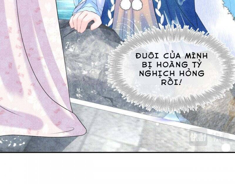Nhóc Con Người Cá 3 Tuổi Rồi Chapter 269 - 6