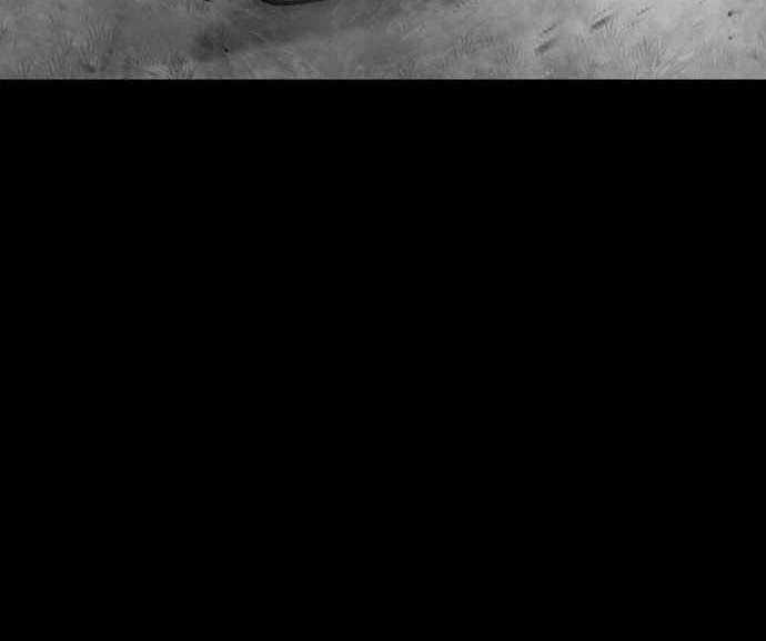 Thiên Ma Phi Thăng Truyện Chapter 48 - 125