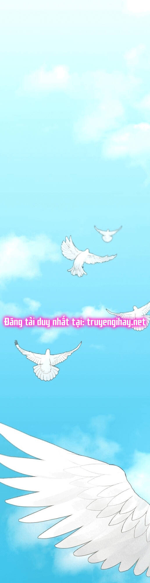 Hoàng Đế Đảo Ngược Thời Gian Chapter 75.2 - 16