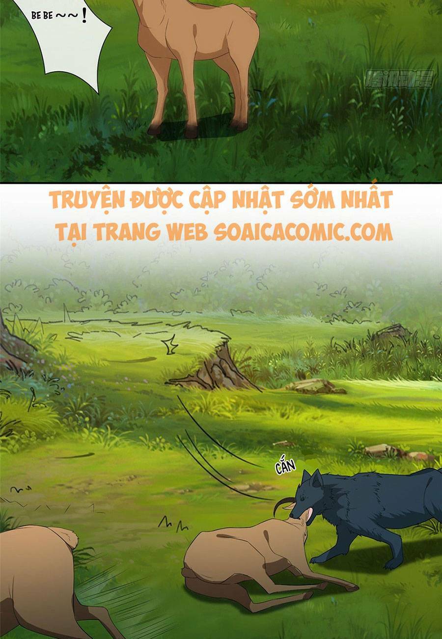 Khiêu Khích Xuyên Biên Giới Chapter 22 - 11