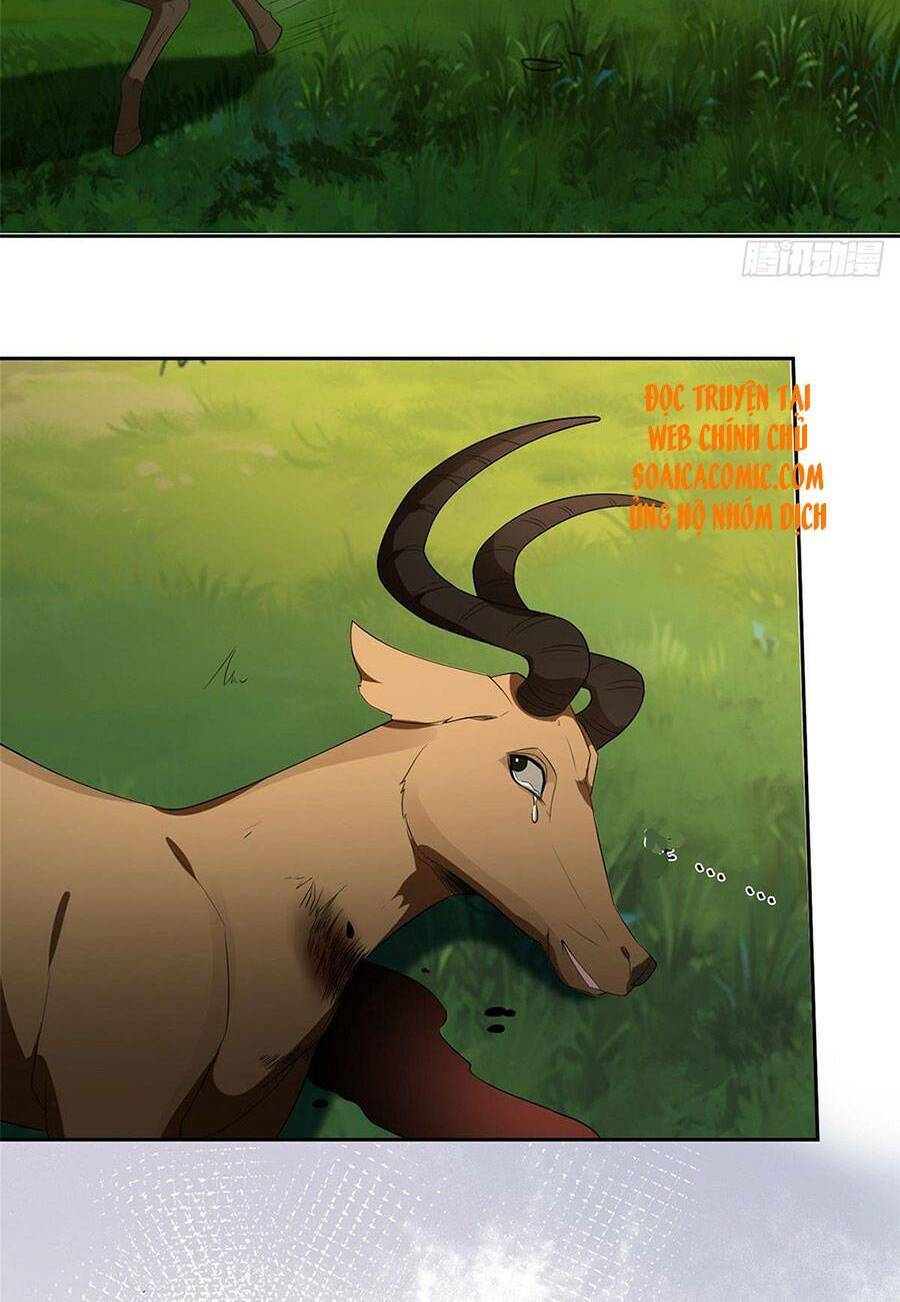 Khiêu Khích Xuyên Biên Giới Chapter 22 - 12