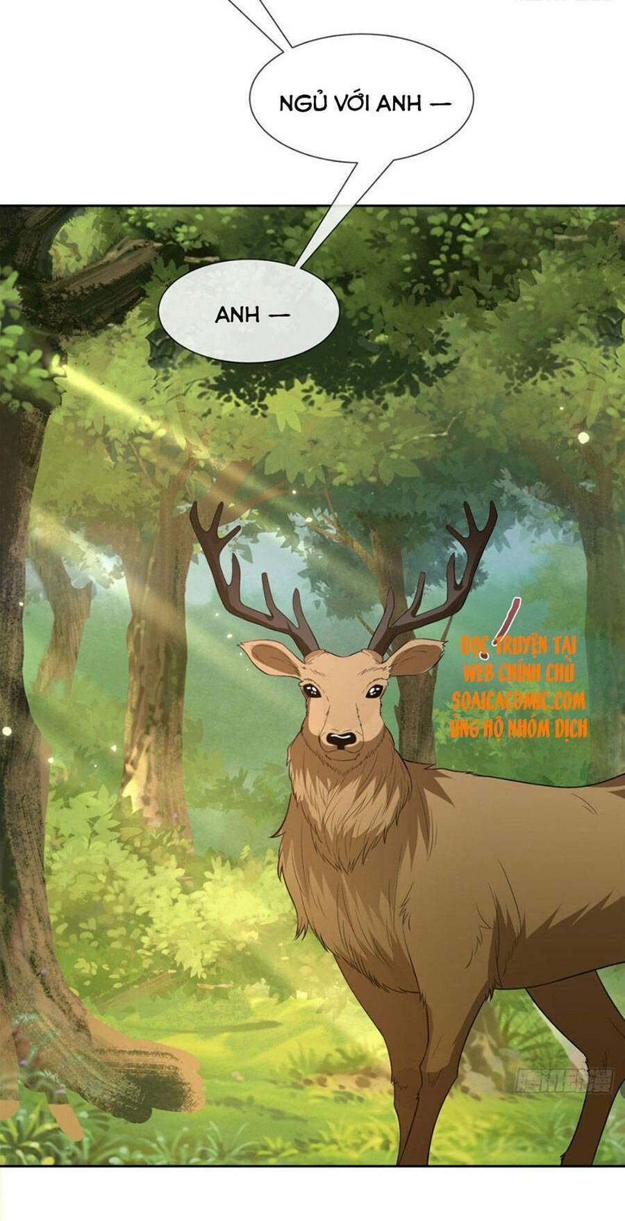 Khiêu Khích Xuyên Biên Giới Chapter 24 - 12