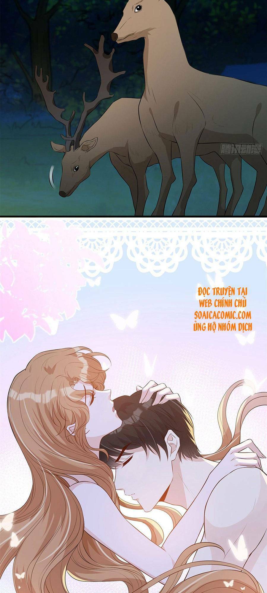 Khiêu Khích Xuyên Biên Giới Chapter 26 - 16