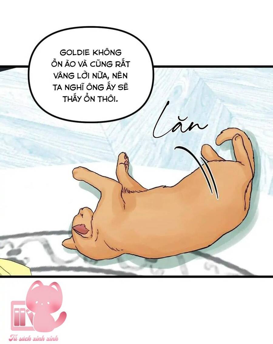 Công Chúa Bãi Rác Chapter 64 - 52