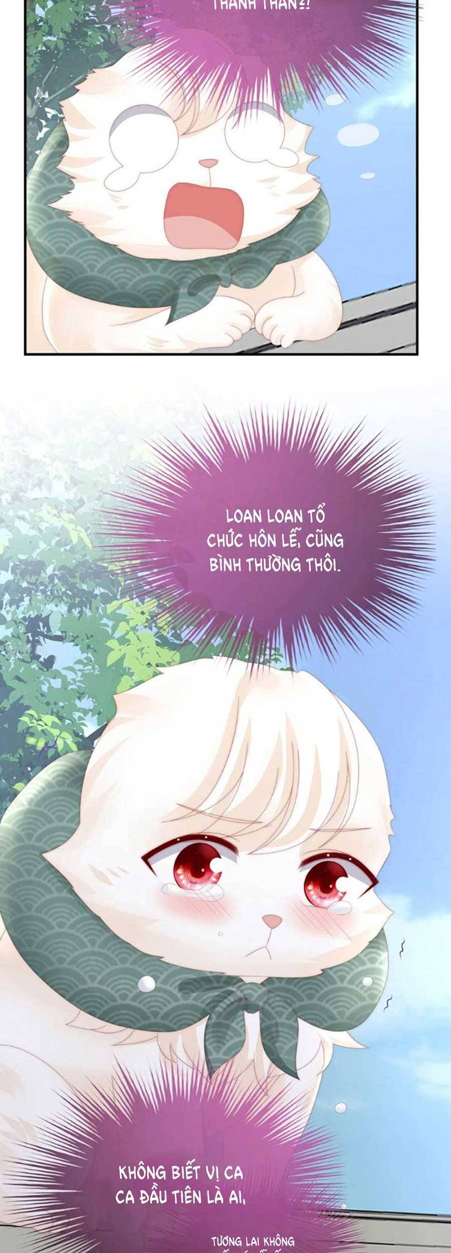 Thê Chủ, Thỉnh Hưởng Dụng Chapter 71 - 27