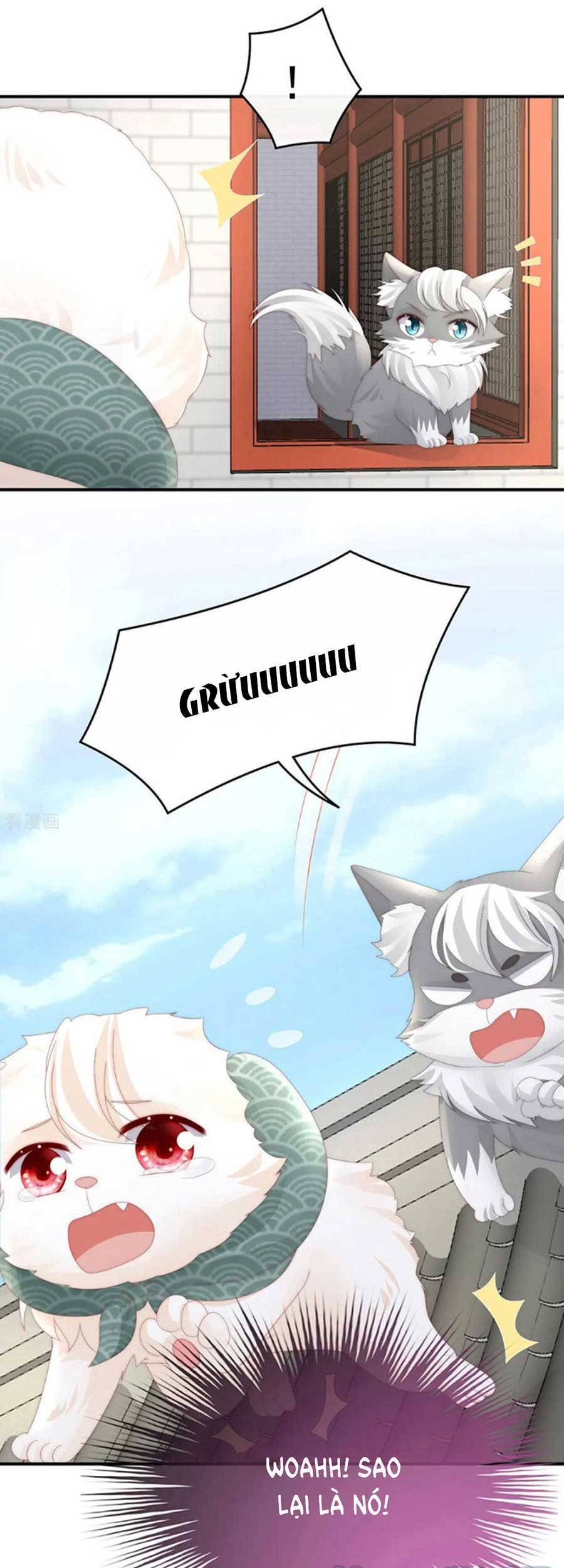 Thê Chủ, Thỉnh Hưởng Dụng Chapter 71 - 29