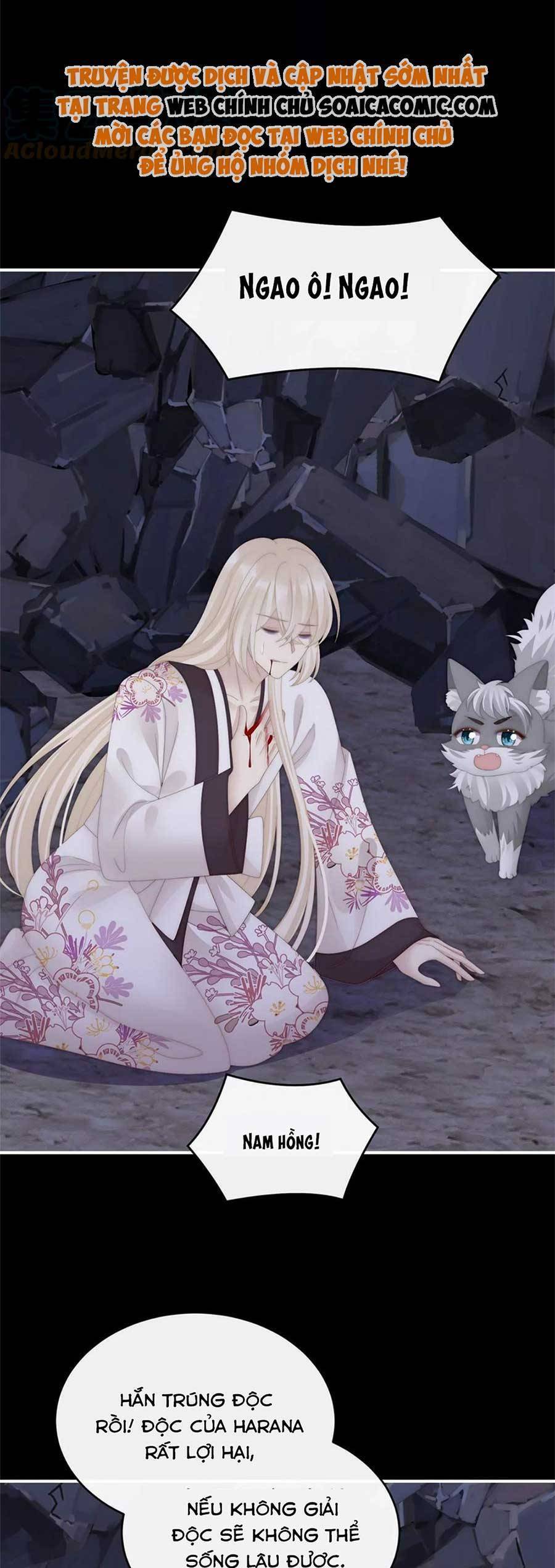 Thê Chủ, Thỉnh Hưởng Dụng Chapter 81 - 16