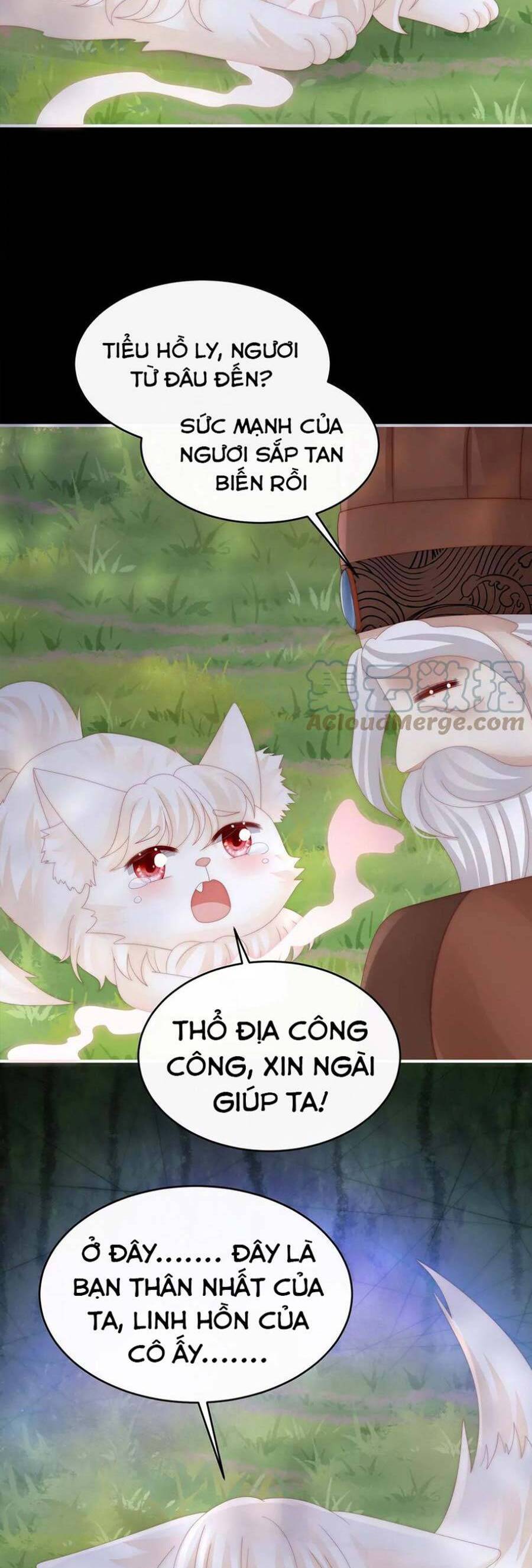 Thê Chủ, Thỉnh Hưởng Dụng Chapter 83 - 8