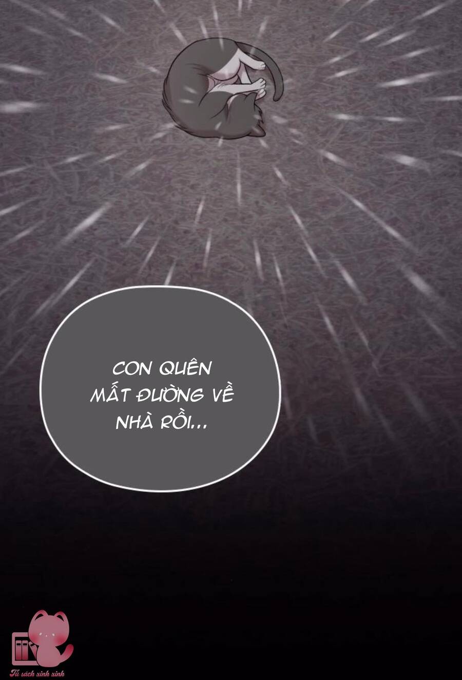 Cô Đi Mà Kết Hôn Với Chồng Tôi Đi Chapter 67 - 16