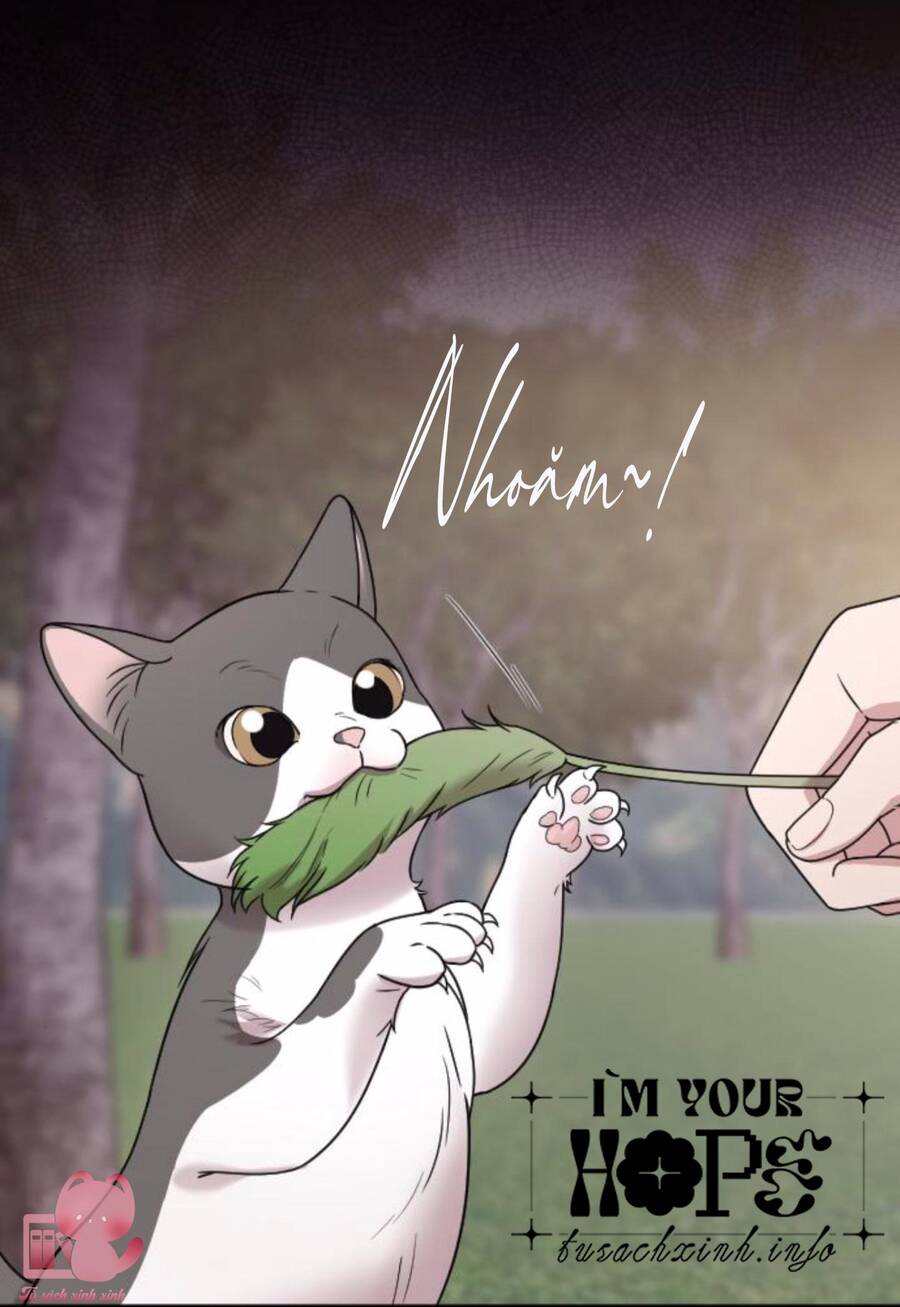 Cô Đi Mà Kết Hôn Với Chồng Tôi Đi Chapter 67 - 36