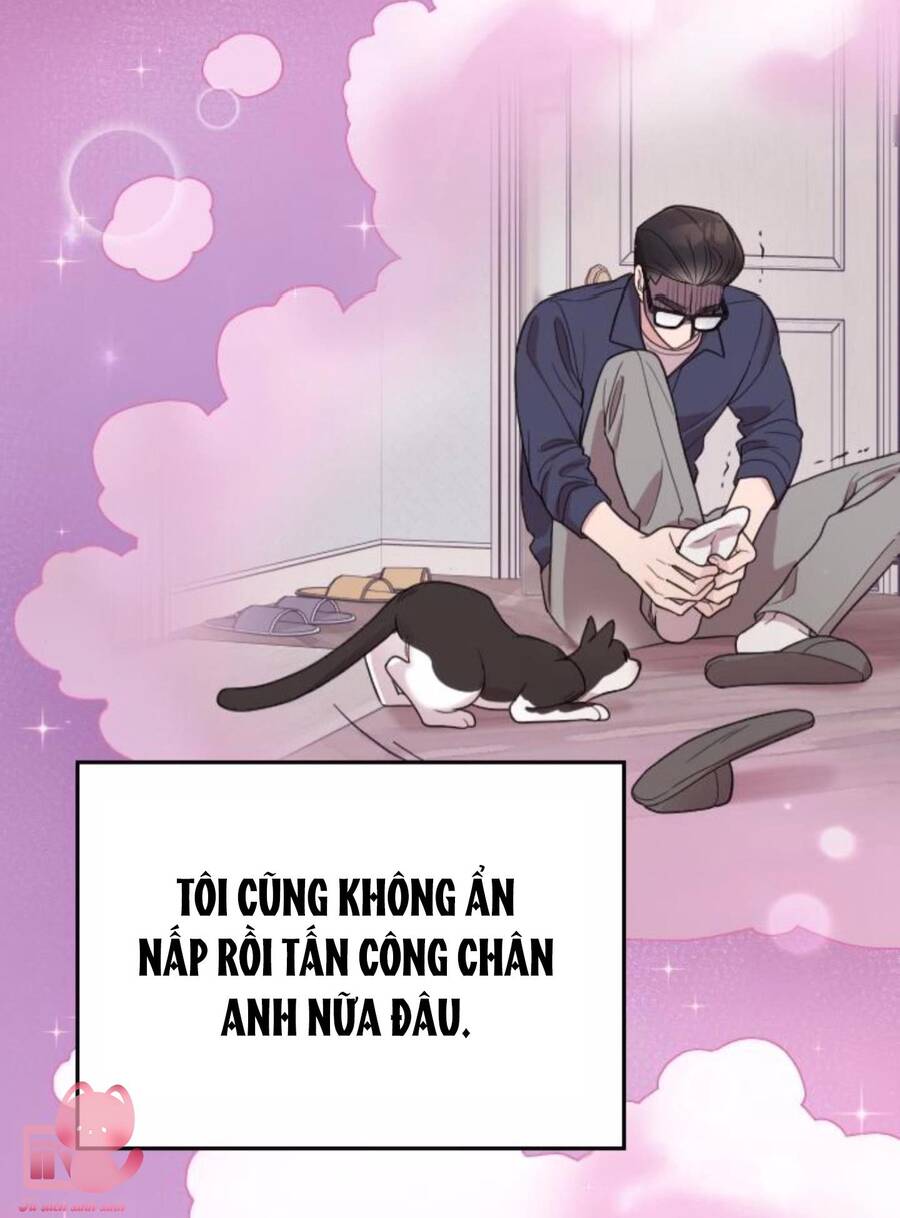 Cô Đi Mà Kết Hôn Với Chồng Tôi Đi Chapter 67 - 74
