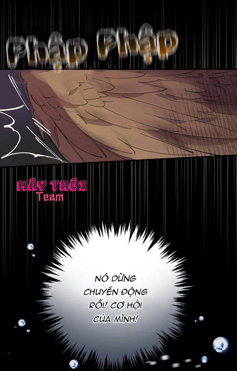 Giai Điệu Của Nhành Cây Khô Héo Chapter 23 - 20