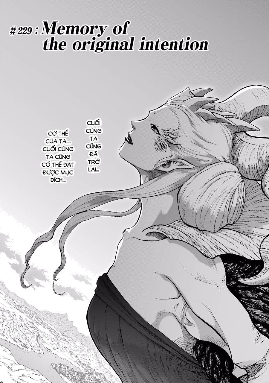 Dấu Ấn Rồng Thiêng - Người Kế Thừa Thánh Huy Chapter 229 - 1