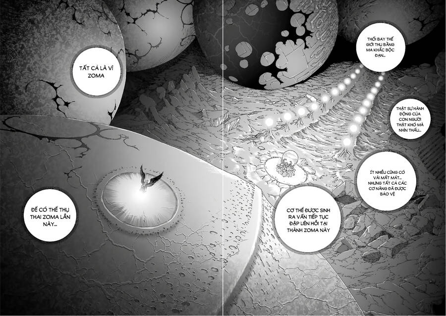 Dấu Ấn Rồng Thiêng - Người Kế Thừa Thánh Huy Chapter 284 - 4