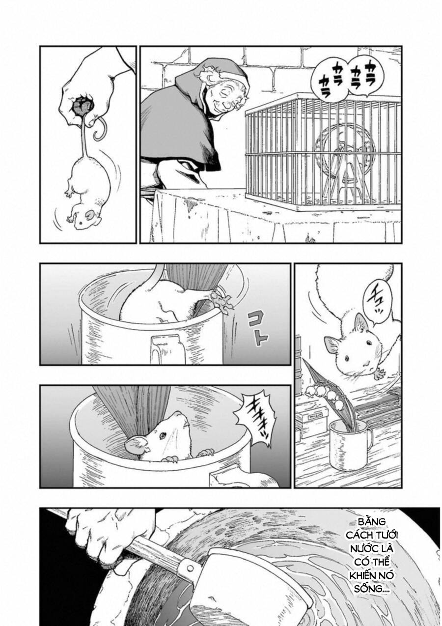 Dấu Ấn Rồng Thiêng - Người Kế Thừa Thánh Huy Chapter 296 - 28