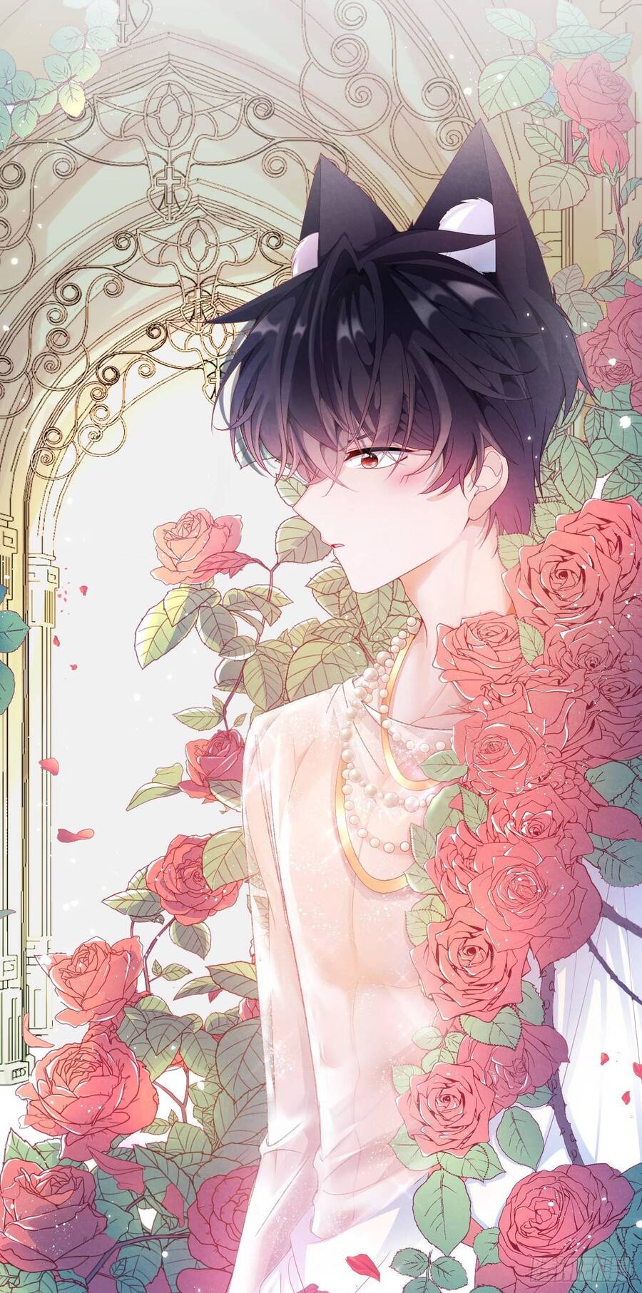 Ninita Yêu Dấu Chapter 50.5 - 18