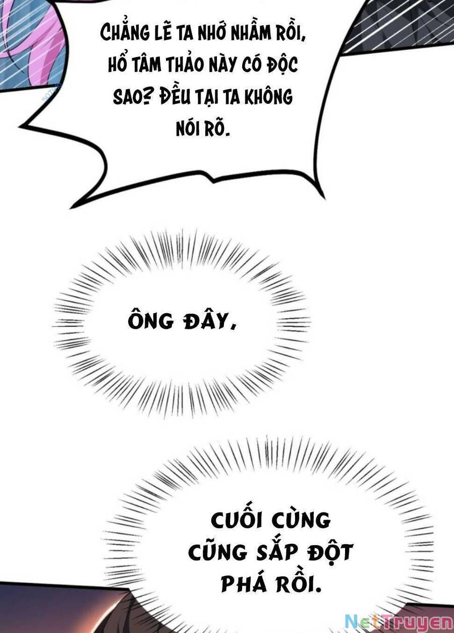 Thiên Đạo Nguyền Rủa Ư? Ta Nghịch Thiên!! Chapter 20 - 19