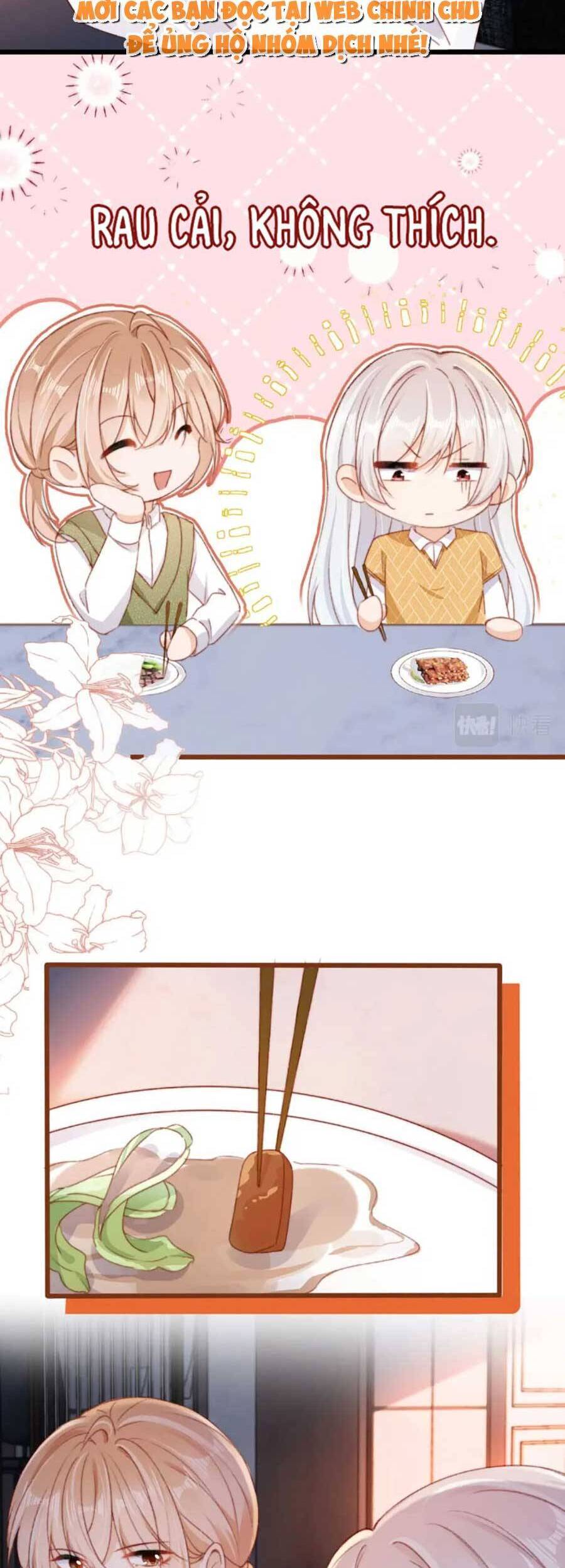 Nam Chính Và Nhân Vật Phản Diện Tôi Nuôi Đều Không Đứng Đắn Chapter 57 - 17