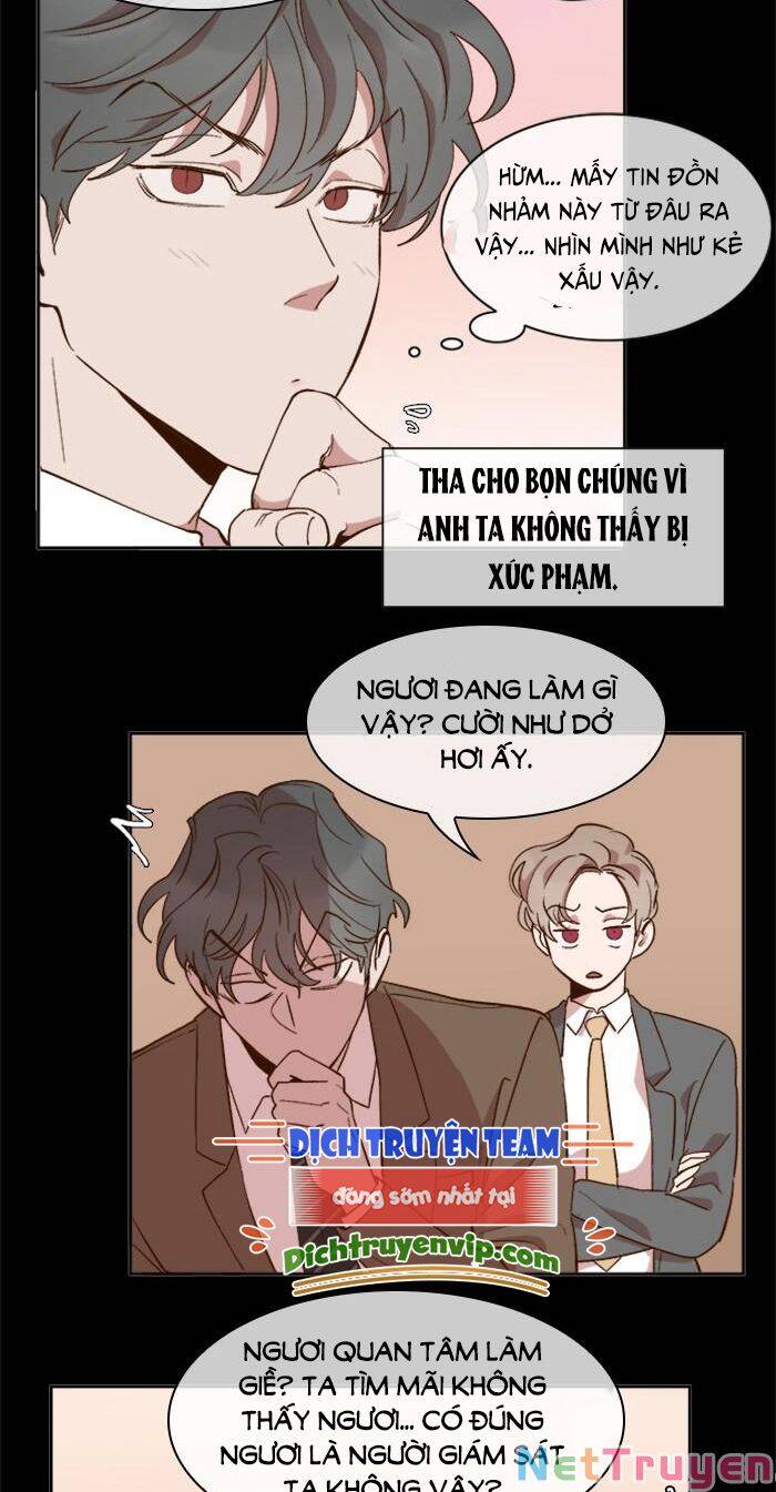 Quỷ Sứ Số 4 Chapter 48 - 14