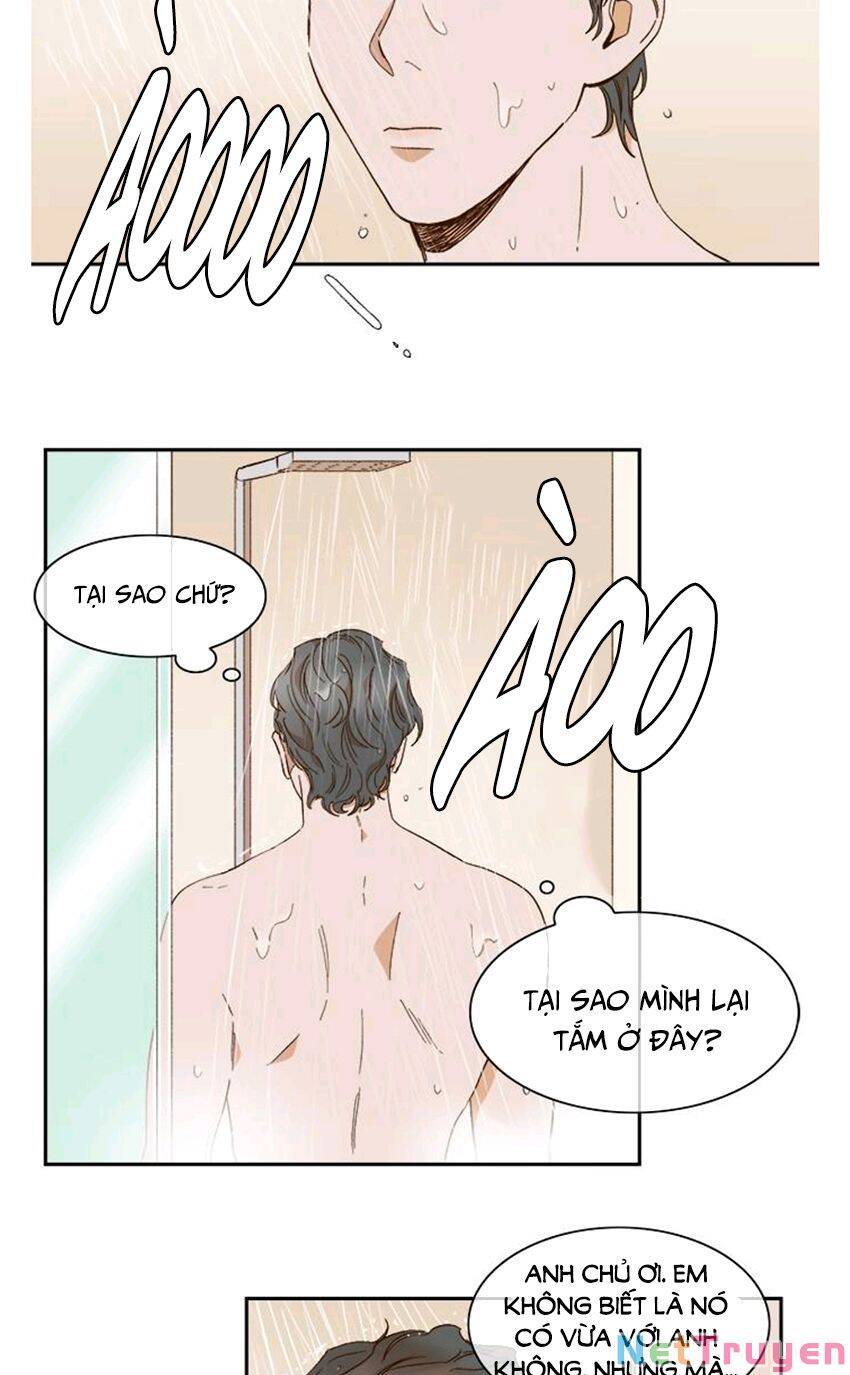 Quỷ Sứ Số 4 Chapter 61 - 6