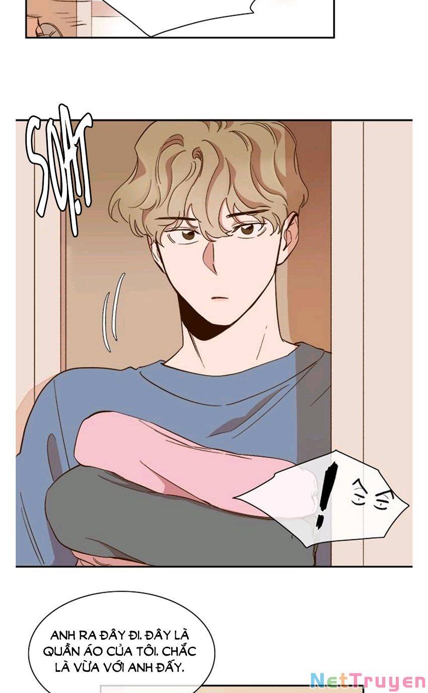 Quỷ Sứ Số 4 Chapter 61 - 8