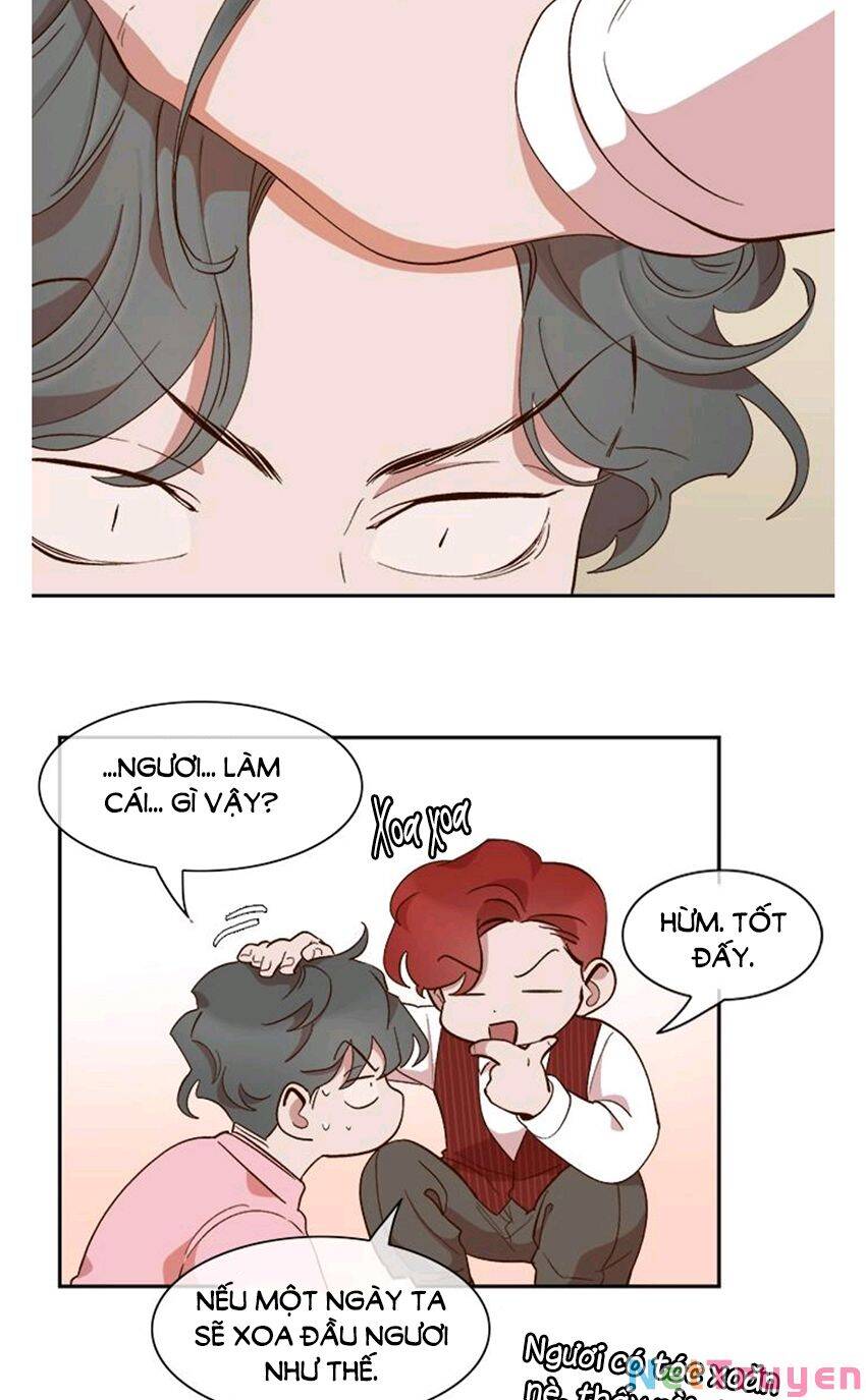 Quỷ Sứ Số 4 Chapter 62 - 27