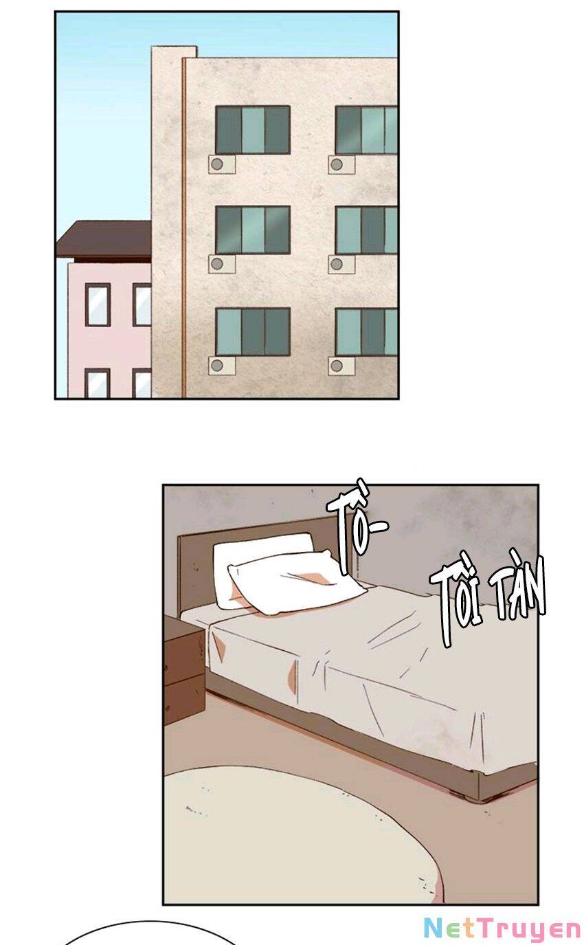 Quỷ Sứ Số 4 Chapter 62 - 43