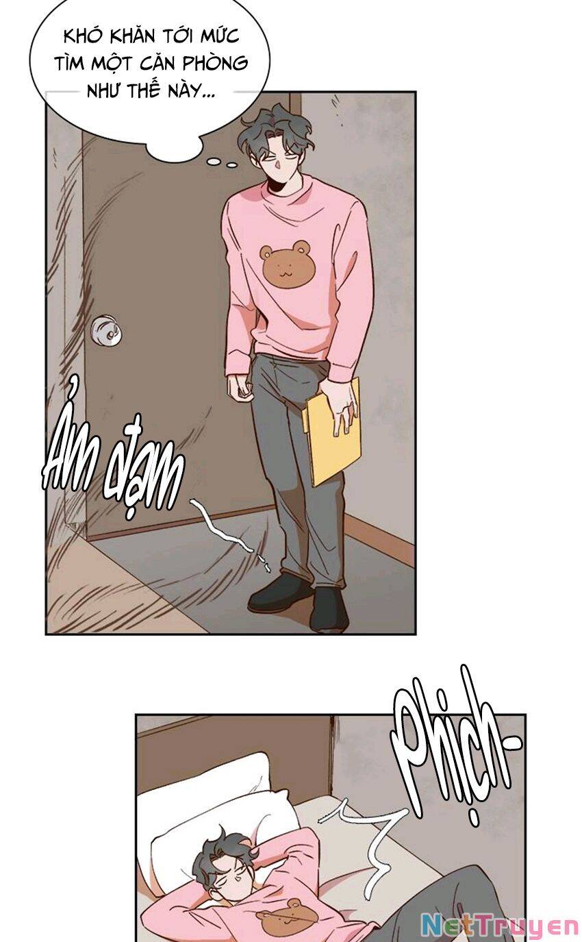 Quỷ Sứ Số 4 Chapter 62 - 44