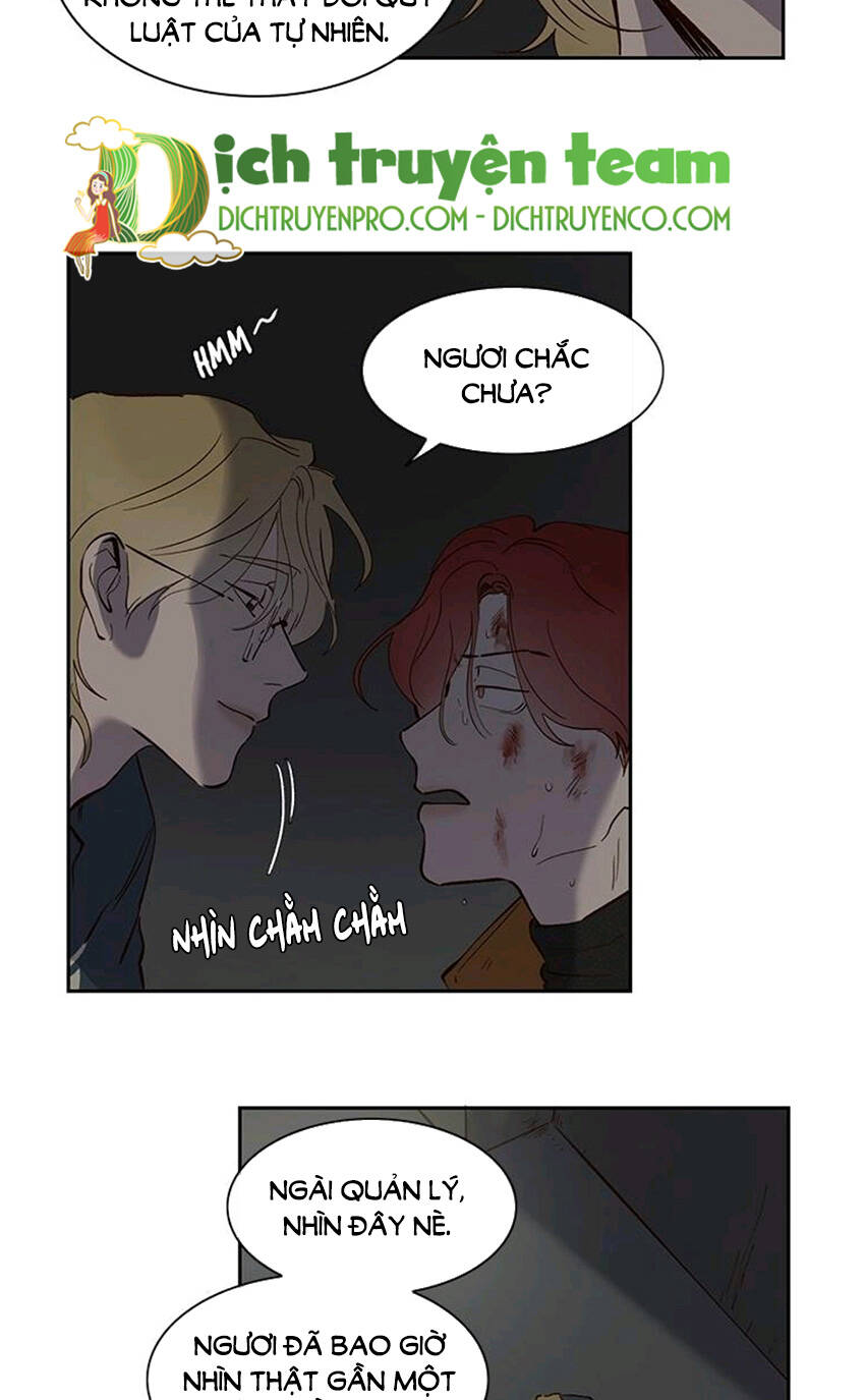 Quỷ Sứ Số 4 Chapter 74 - 16