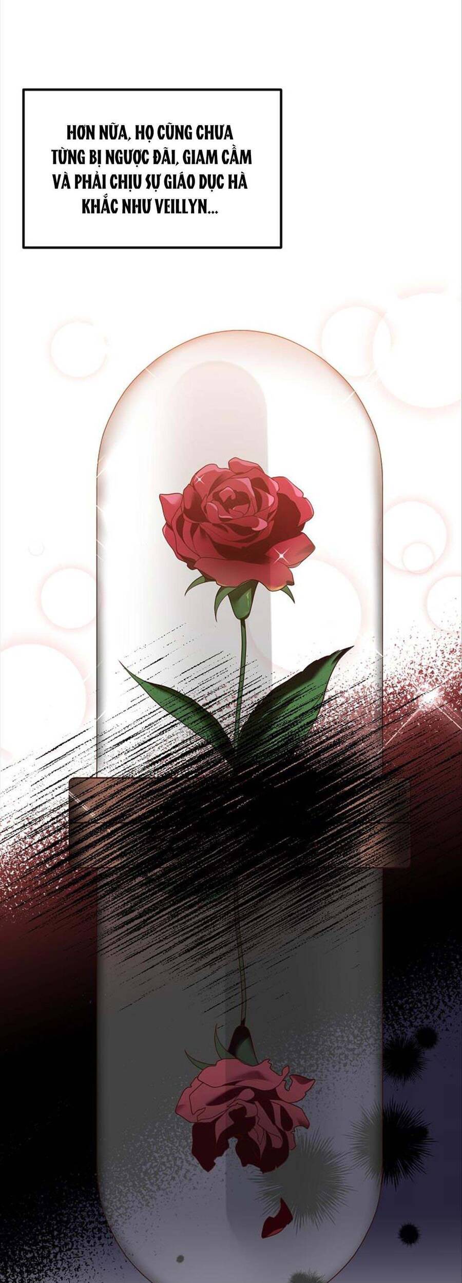 Hôn Phu Của Tôi Là Nam Chính Yandere Chapter 18 - 22