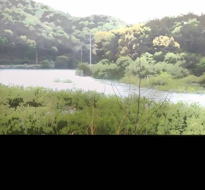 Hoá Thân Thành Cá Chapter 16 - 128