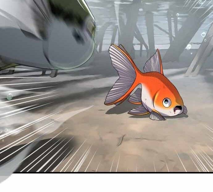 Hoá Thân Thành Cá Chapter 17 - 12