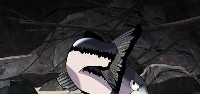 Hoá Thân Thành Cá Chapter 17 - 184