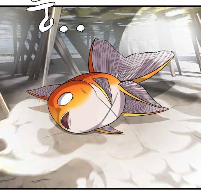 Hoá Thân Thành Cá Chapter 17 - 41