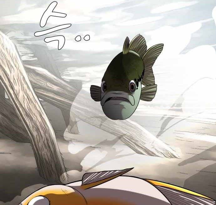 Hoá Thân Thành Cá Chapter 17 - 43