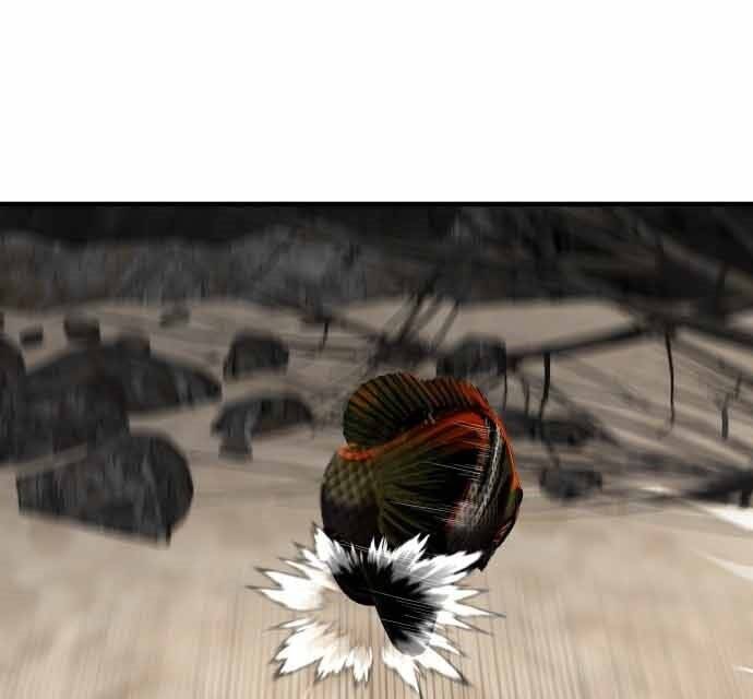 Hoá Thân Thành Cá Chapter 17 - 77